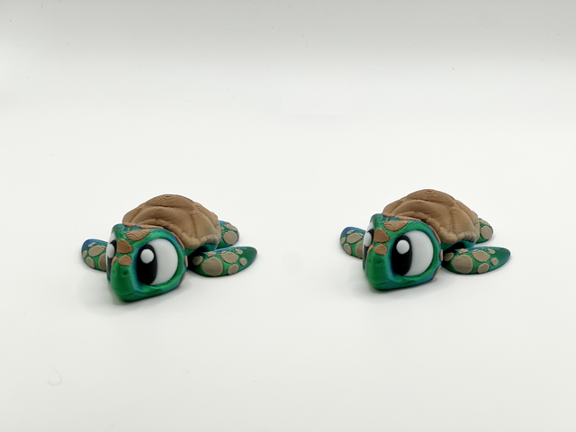 Small sea turtle