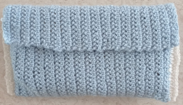 Pochette livre de poche bleu et blanc