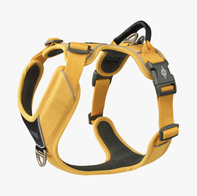 V3 Comfort Walk Pro 'Lemon' Geschirr von Dog Copenhagen