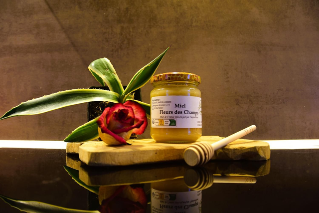 Miel de Fleurs des champs 