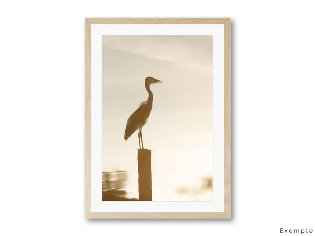Peinture aquatique - Reflet de héron, impression de peinture