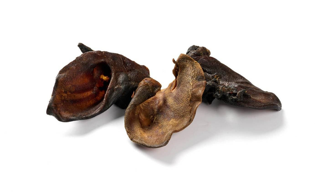 Orecchie di cinghiale