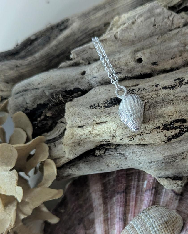Fine silver Winkle shell necklace 