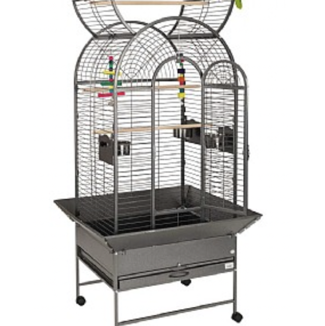 Liberta Cortes Cages 