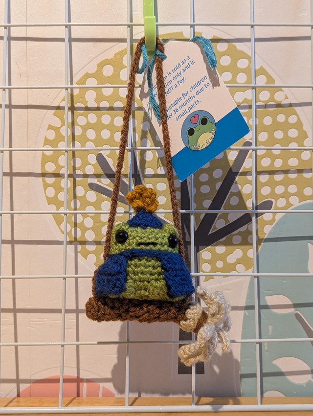 Wizard frog on a broom