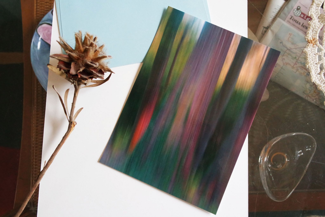 Carte postale A5 photographie "Filé d'arbre"