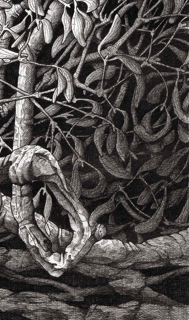 Le prolegoméne païen