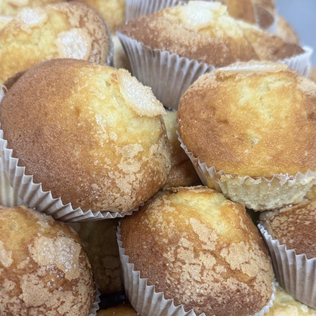 MAGDALENAS NORMALES (DOCENA)