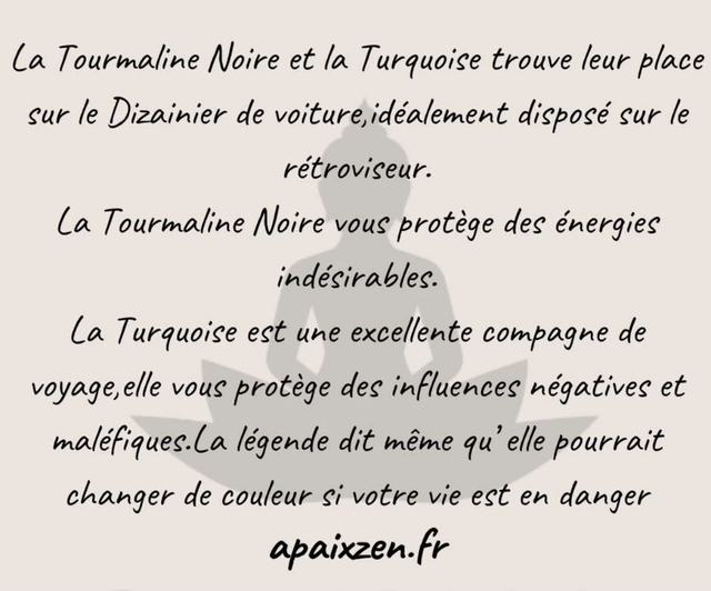 Dizainnier de PROTECTION