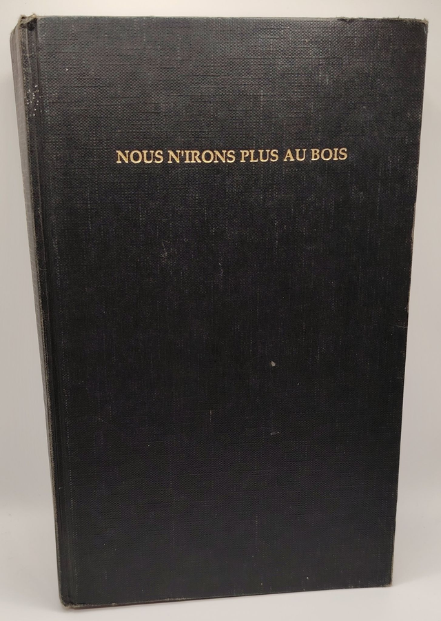 Nous n'irons plus au bois de Mary Higgins Clark