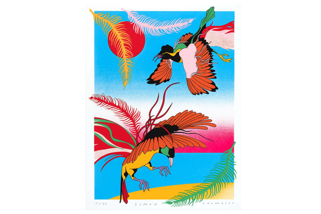 Birds of paradise