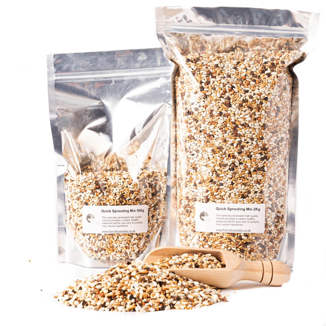 Parrot Essentials Quick Sprouting Mix Food 2KG