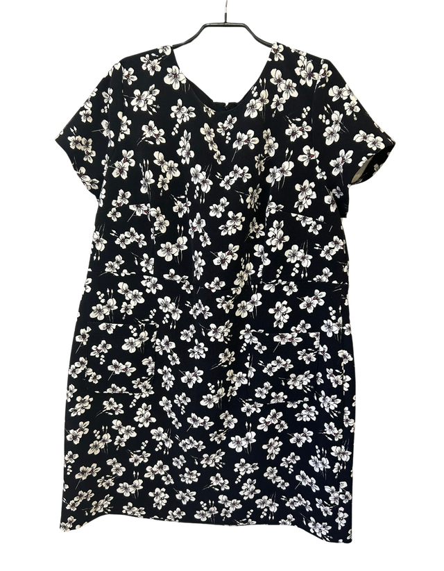 Loft Plus Dress in Black