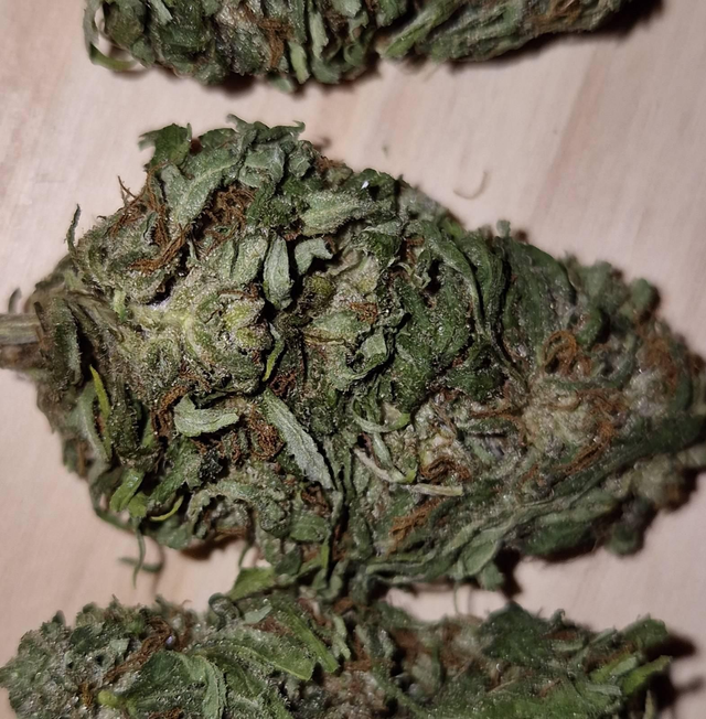 Pine Walker - CBDV Bio, à partir de 2€20/g