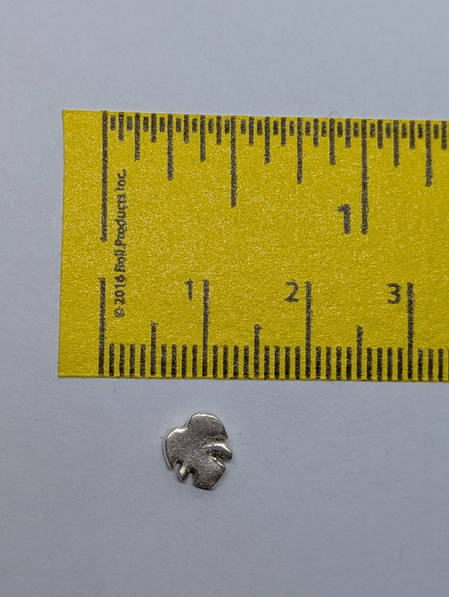 Medium Tropical Leaf Earrings