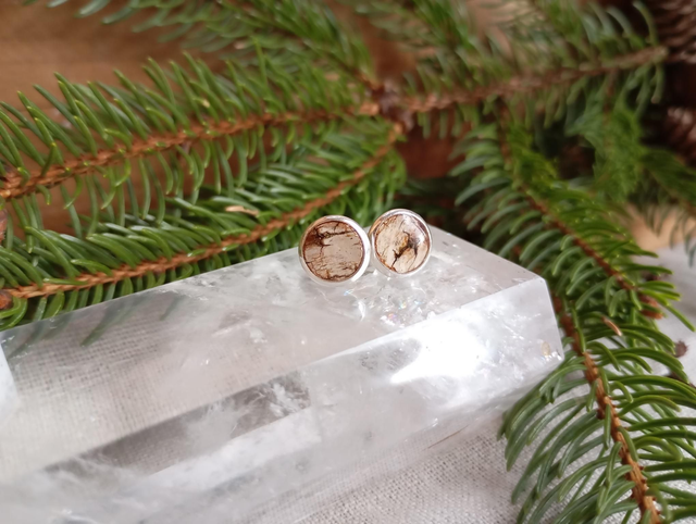 Clous d'oreilles - Bouleau