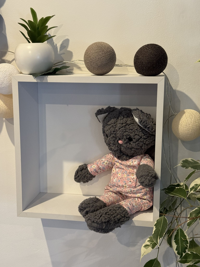 Luidgy chat moumoute gris