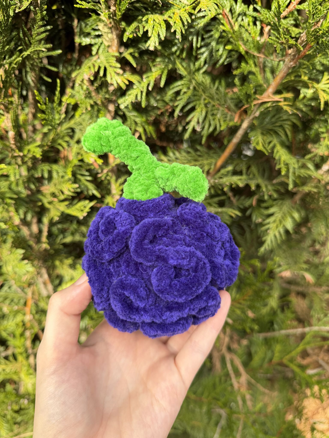 Fruit du démon 🌀
