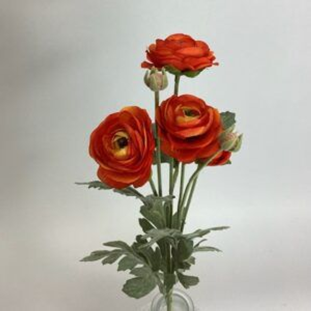 Ranunculus Spray x 4 Head / 2 Buds Orange