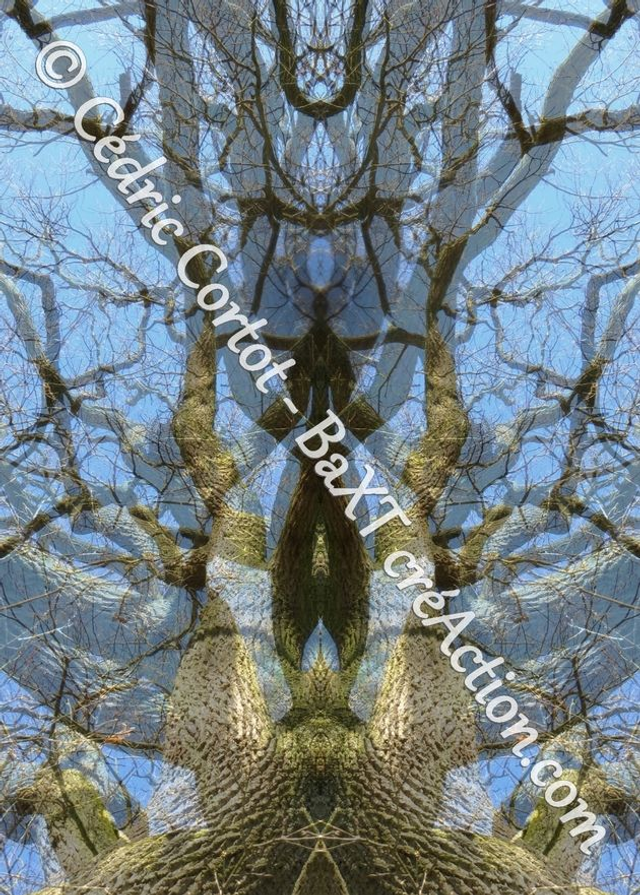 Carte postale - Entre réel et irréel (Ref IMG_7828 R1)