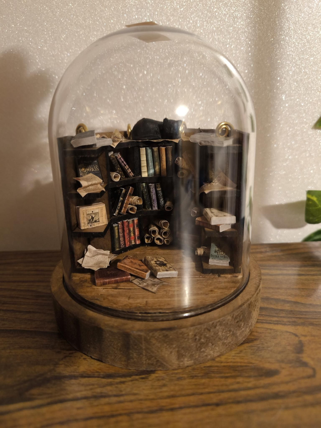 Bibliothèque chat