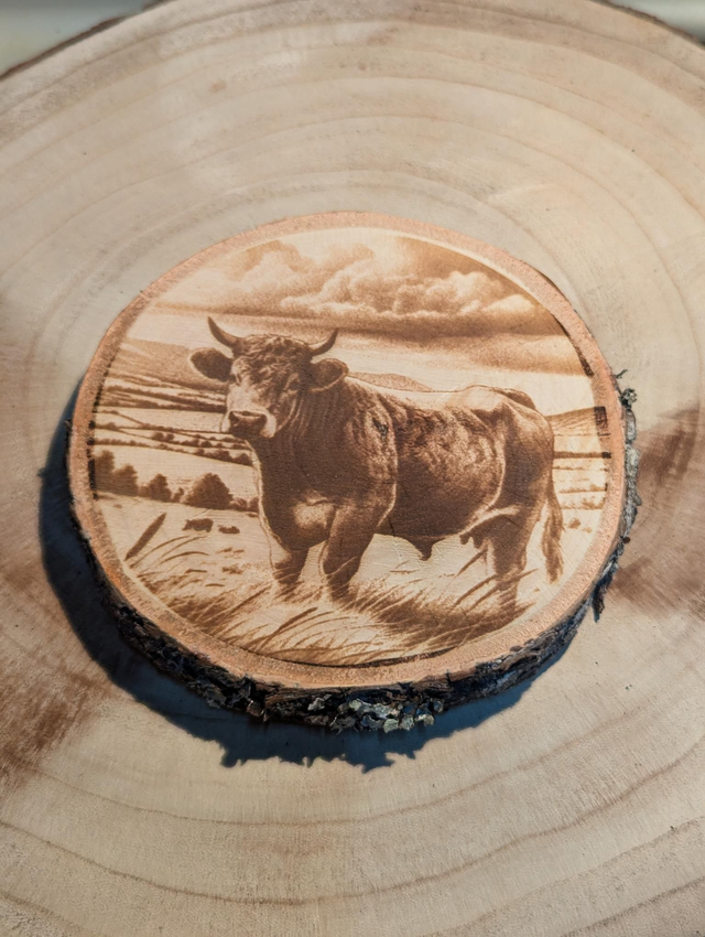 Médaillon vache aubrac environ 10 cm