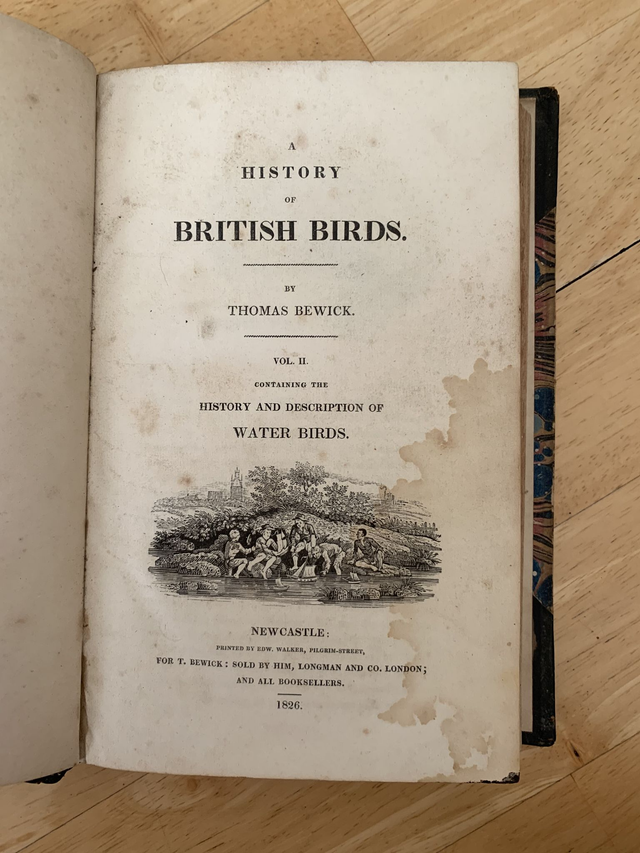 Antiquarian Book Set 1861 A History of British Birds Thomas Bewick Volumes 1 & 2