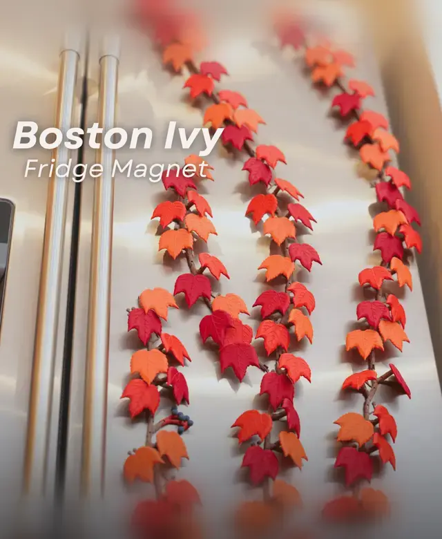 Lierre Magnetic (Série 3)