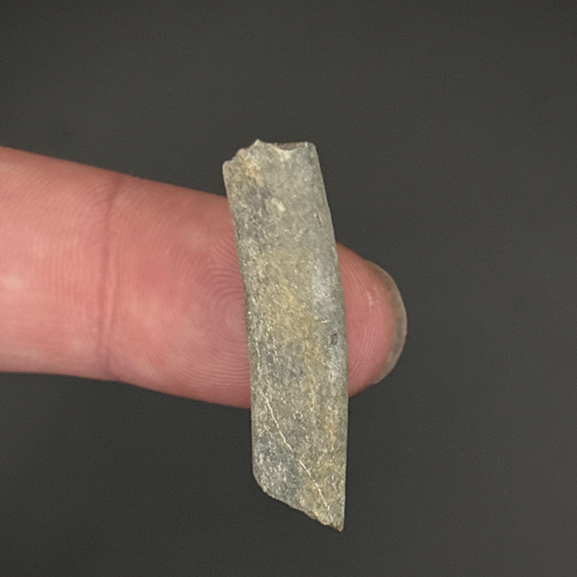 Ichthyosaur Rib Fragment 