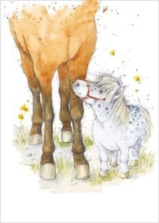 LITTLE AND LARGE B038