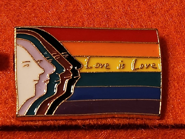 Love Is Love Inclusive Flag