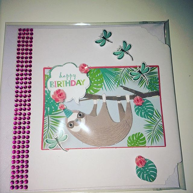 Carte Anniversaire &quot; douceur  de paresseux &quot;