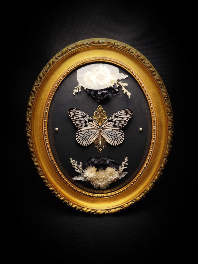 Cadre Vintage Papillon "Idea Idea"