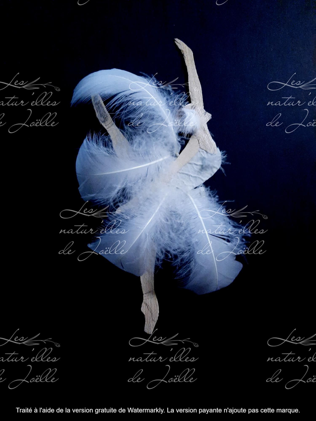 Odette cygne blanc 20x30cm Papier Fine art 308g 