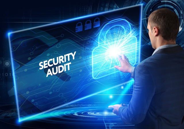 IT Security Audit