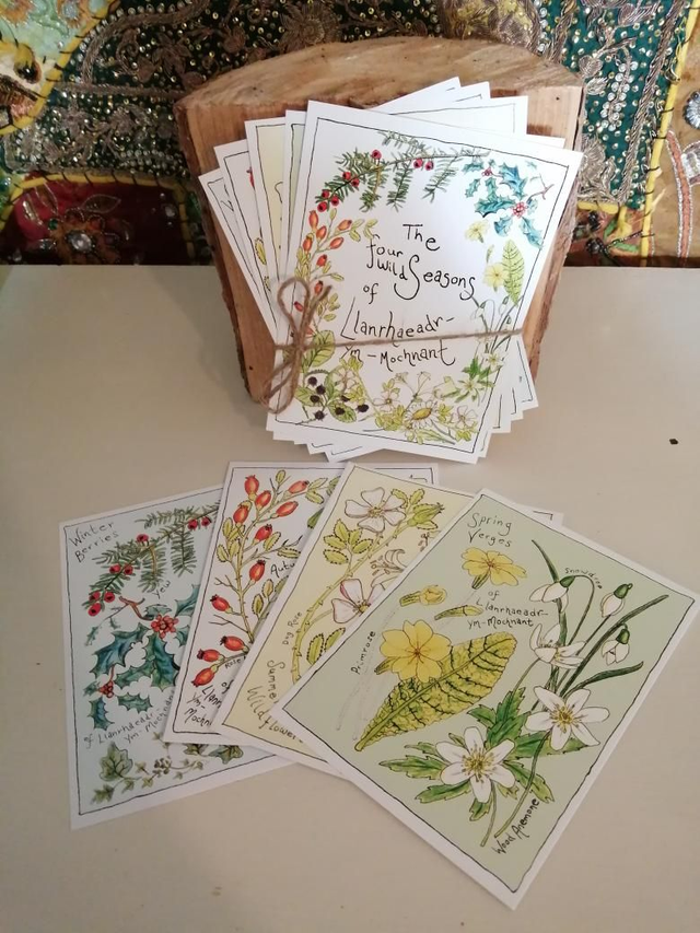 Four Wild Seasons 5 Postcard Selection Pack