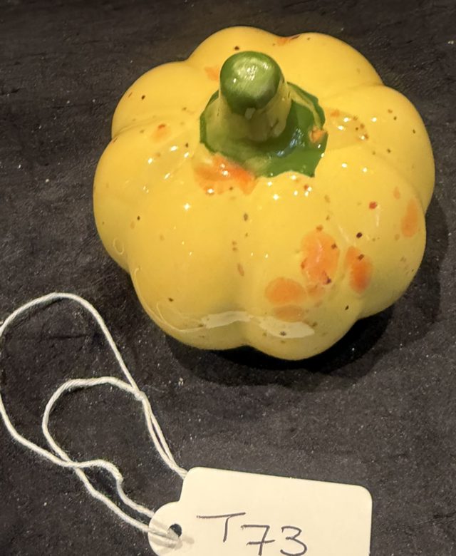 Pumpkin T73