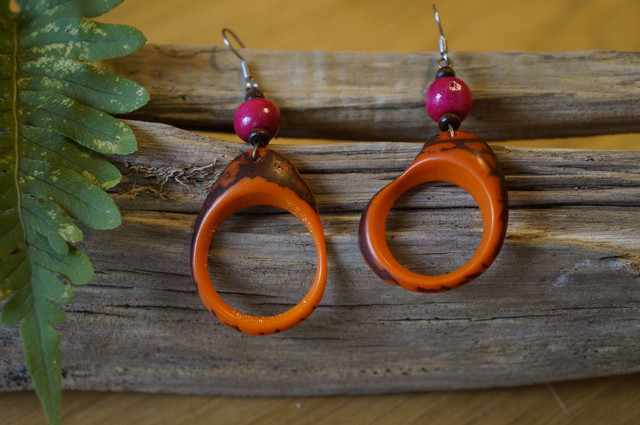 Chips percée orange avec graine rouge