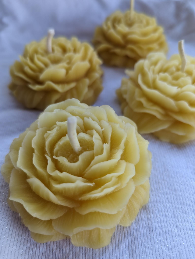 Peony beeswax candle 