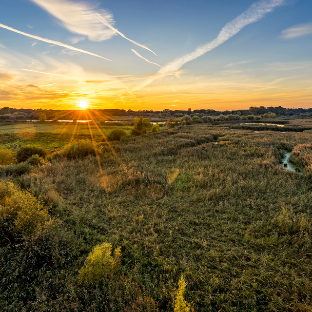 Sonnenuntergang in den Rieselfeldern