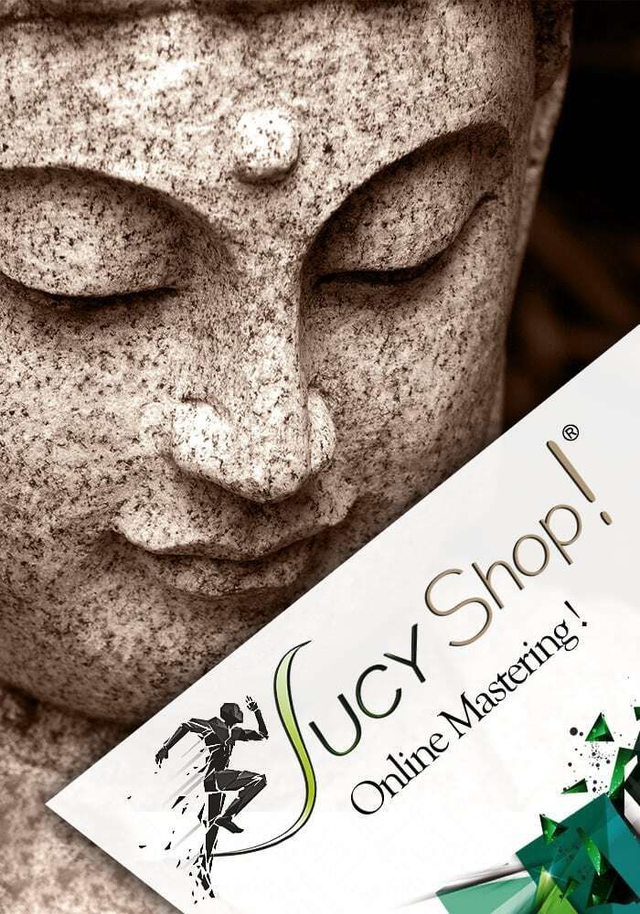 Pack zen expert 1 an