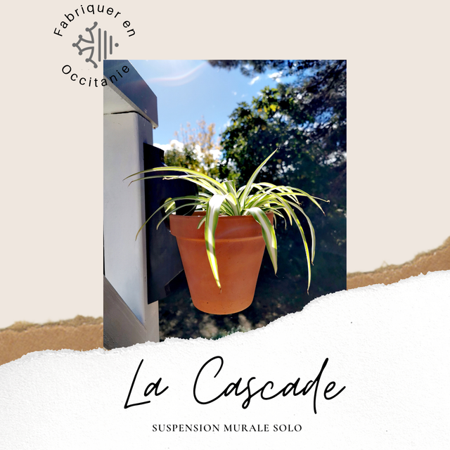 Suspension Murale Solo - 1 Plante