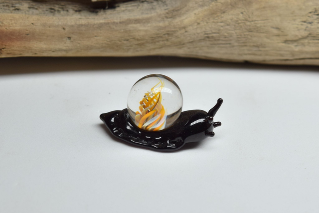 ESCARGOT NOIR IMPLOSION ORANGE