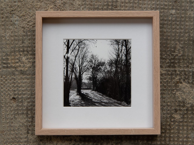 Chemin au soleil - 12x12