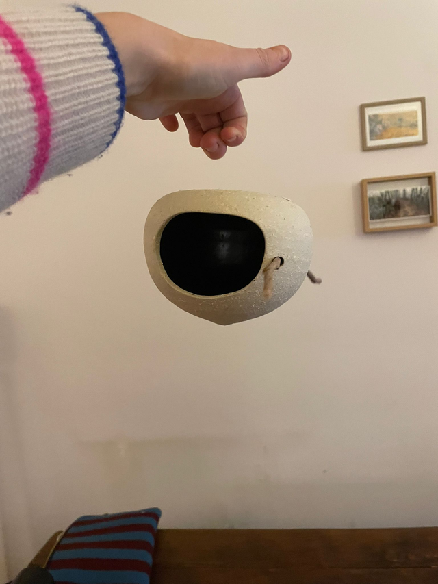 Stage Ornithologie et poterie