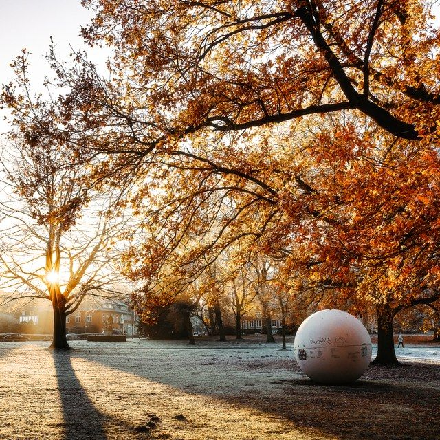 Frostmorgen an der Aaseekugel