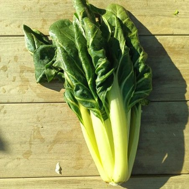 Blette 500g