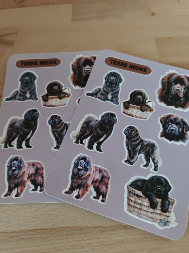Planche stickers Terre Neuve