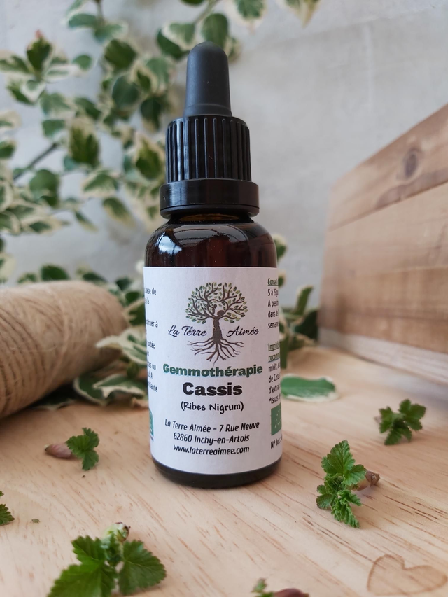 Cassis (bourgeons) 30ml