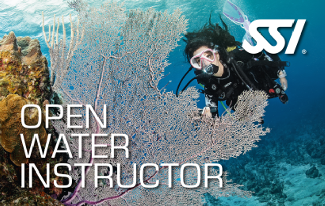 OPEN WATER INSTRUCTOR 